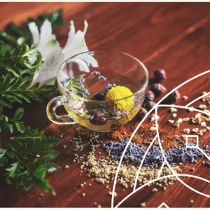 May - Plant Wisdom: Herbal Tea Blending for Stress, Sleep & Immunity